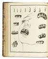 DENTISTRY  FOX, JOSEPH. The Natural History and Diseases of the Human Teeth, in Two Parts . . . Second Edition, Enlarged.  1814